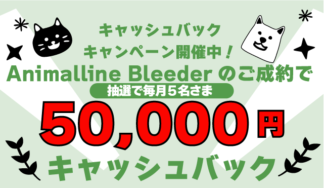 キャッシュバックキャンペーン開催中！