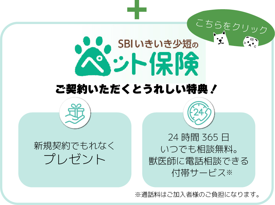 SBIいきいき少短 ペット保険をお申込みいただくとうれしい特典！ こちらをクリック