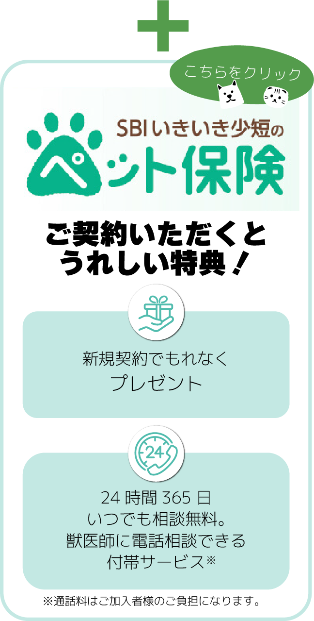 SBIいきいき少短 ペット保険をお申込みいただくとうれしい特典！ こちらをクリック