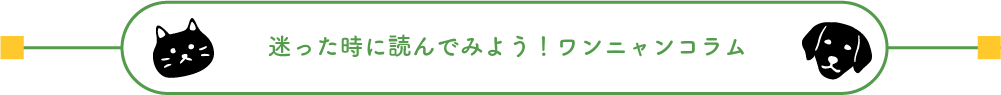 迷った時に読んでみよう！ワンニャンコラム