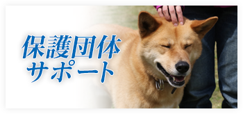 保護団体をサポート