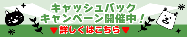 キャッシュバックキャンペーン