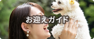 お迎えガイド