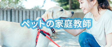 ペットの家庭教師