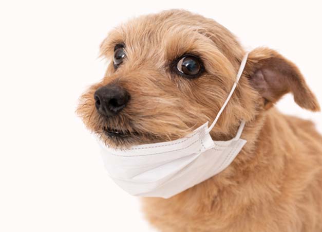 健康面での安心・安全