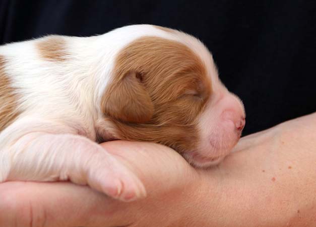 価格面での安心・安全