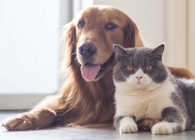 健康面での安心・安全