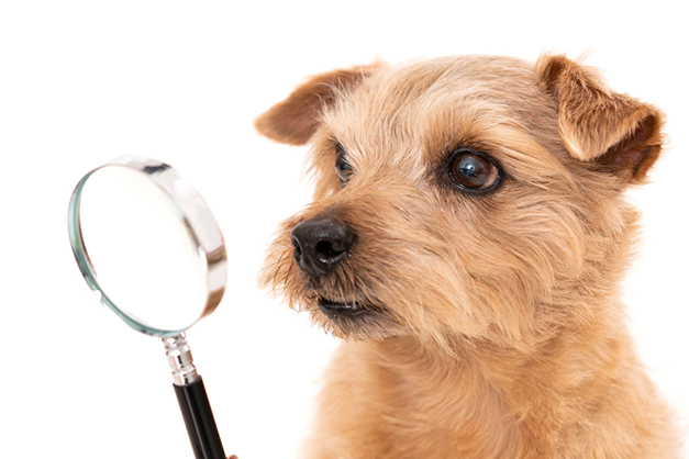 健康面での安心・安全