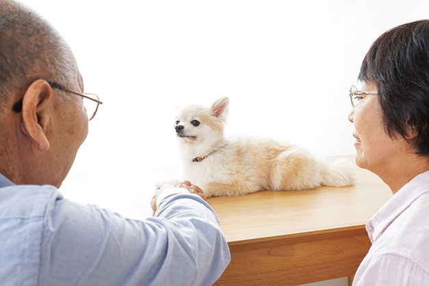 健康面での安心・安全