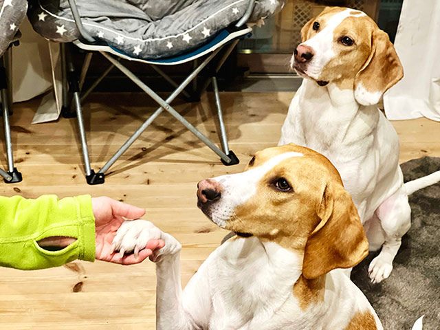 健康面での安心・安全