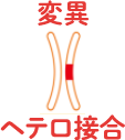 変異ヘテロ接合