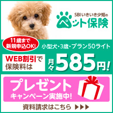 ペットの家庭教師