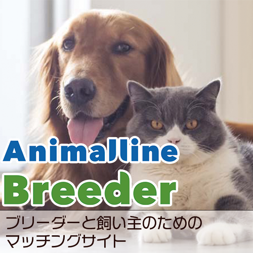 ペットの家庭教師