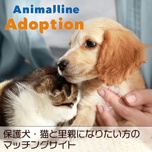 ペットの家庭教師