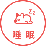 睡眠