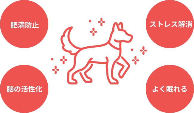 肥満防止・ストレス解消・脳の活性化・よく眠れる