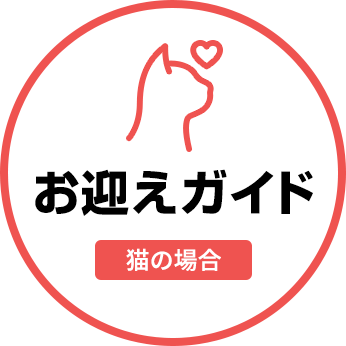 お迎えガイド(猫の場合)