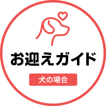 お迎えガイド(犬の場合)