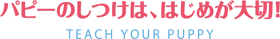 パピーのしつけは、はじめが大切!