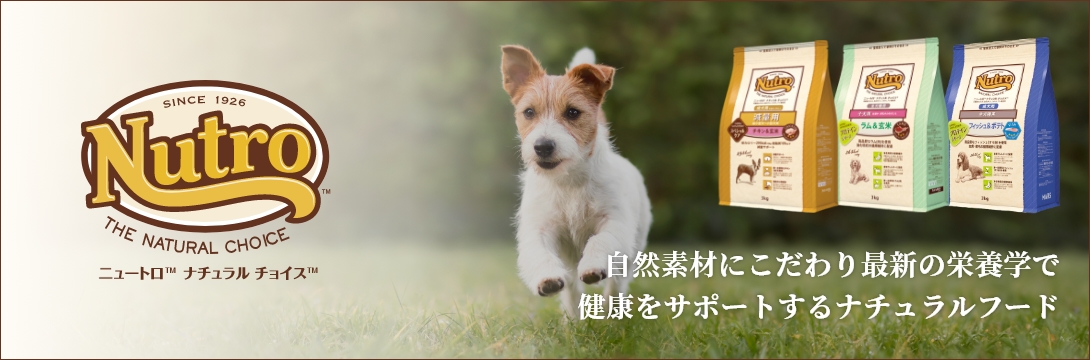 自然素材にこだわり最新の栄養学で健康をサポートするナチュラルフード