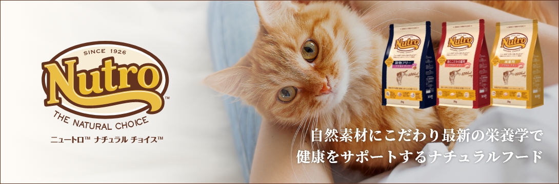 自然素材にこだわり最新の栄養学で健康をサポートするナチュラルフード