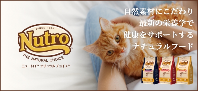 自然素材にこだわり最新の栄養学で健康をサポートするナチュラルフード