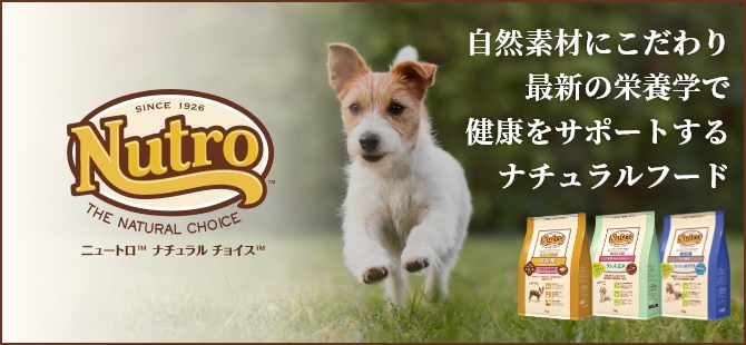 自然素材にこだわり最新の栄養学で健康をサポートするナチュラルフード