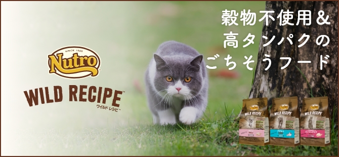 自然素材にこだわり最新の栄養学で健康をサポートするナチュラルフード