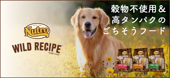 穀物不使用＆高タンパクのごちそうフード